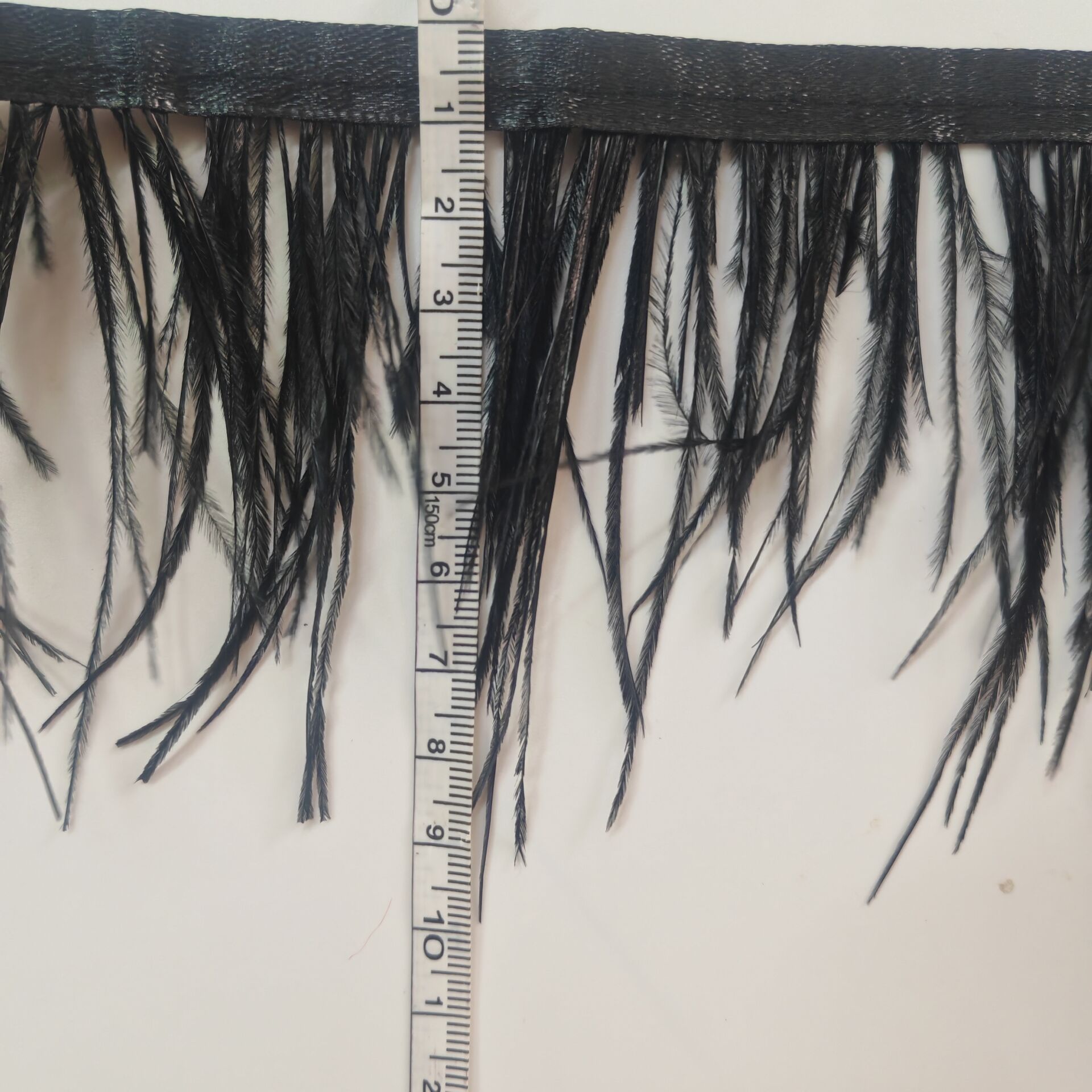 Black Ostrich Feather Fringe T - Fringe Ribbon Sewing 评论和价格