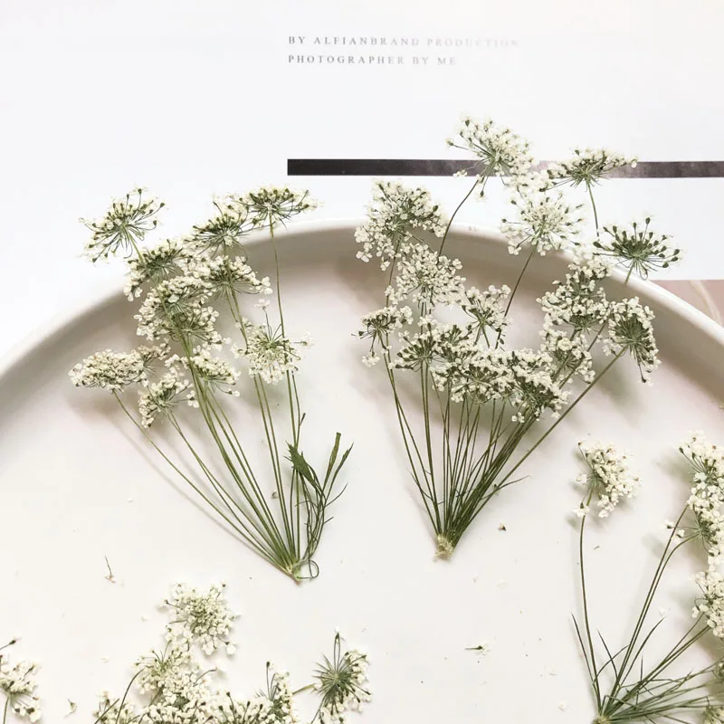 5-7cm/12pcs,Snow Tiny Flowers  - Craft Embellishment 评论和价格